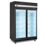 2 DOOR Display Freezer