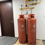 Gas System1